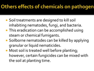  Soil treatments are designed to kill soil
inhabiting nematodes, fungi, and bacteria.
 This eradication can be accomplished using
steam or chemical fumigants.
 Soilborne nematodes can be killed by applying
granular or liquid nematicides.
 Most soil is treated well before planting;
however, certain fungicides can be mixed with
the soil at planting time.
 