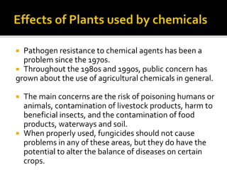  Pathogen resistance to chemical agents has been a
problem since the 1970s.
 Throughout the 1980s and 1990s, public concern has
grown about the use of agricultural chemicals in general.
 The main concerns are the risk of poisoning humans or
animals, contamination of livestock products, harm to
beneficial insects, and the contamination of food
products, waterways and soil.
 When properly used, fungicides should not cause
problems in any of these areas, but they do have the
potential to alter the balance of diseases on certain
crops.
 