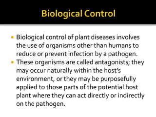  Biological control of plant diseases involves
the use of organisms other than humans to
reduce or prevent infection by a pathogen.
 These organisms are called antagonists; they
may occur naturally within the host’s
environment, or they may be purposefully
applied to those parts of the potential host
plant where they can act directly or indirectly
on the pathogen.
 