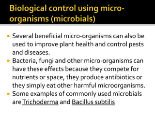  Several beneficial micro-organisms can also be
used to improve plant health and control pests
and diseases.
 Bacteria, fungi and other micro-organisms can
have these effects because they compete for
nutrients or space, they produce antibiotics or
they simply eat other harmful microorganisms.
 Some examples of commonly used microbials
areTrichoderma and Bacillus subtilis
 