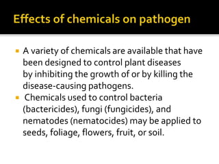  A variety of chemicals are available that have
been designed to control plant diseases
by inhibiting the growth of or by killing the
disease-causing pathogens.
 Chemicals used to control bacteria
(bactericides), fungi (fungicides), and
nematodes (nematocides) may be applied to
seeds, foliage, flowers, fruit, or soil.
 