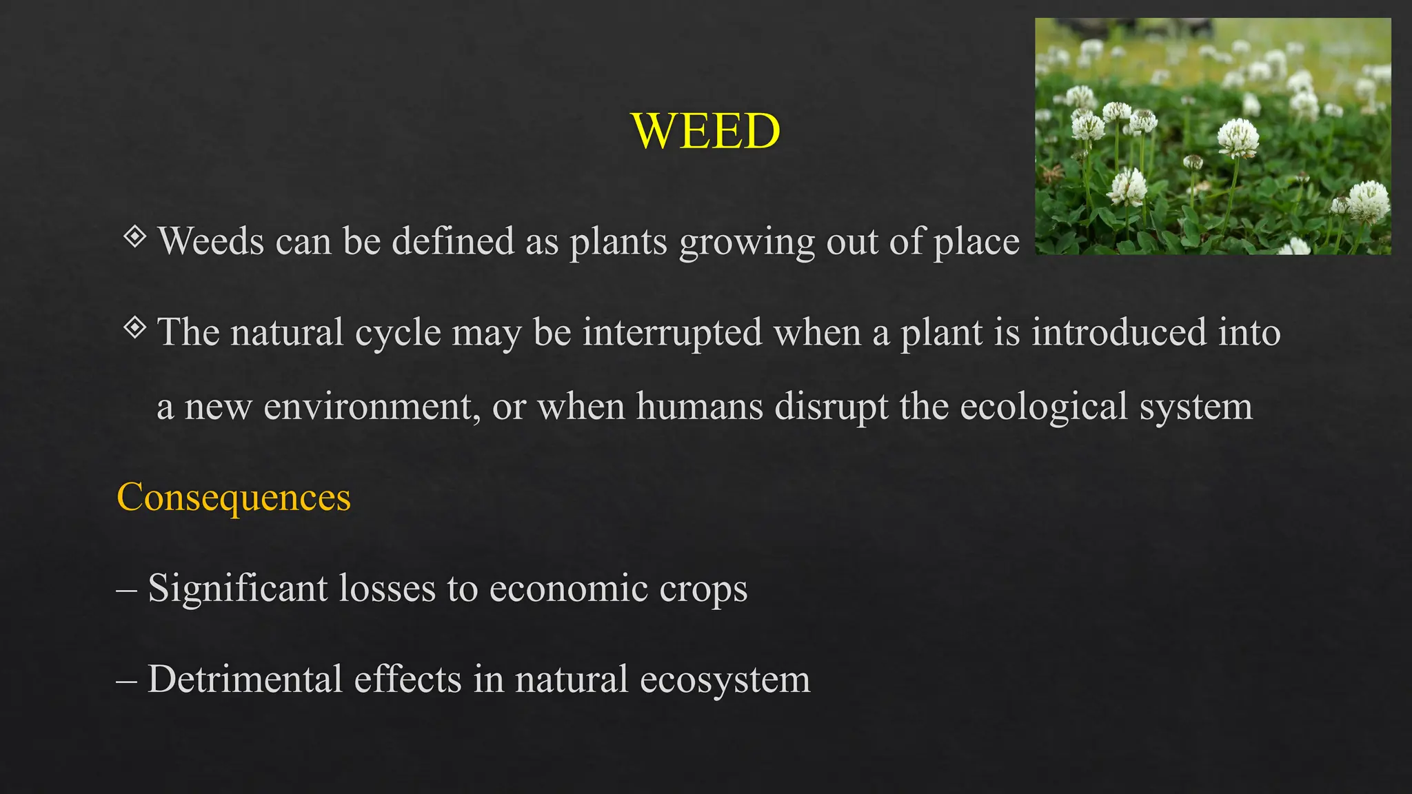 Biological control of weeds using insects- Arshima Shaji V | PPTX