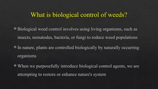 Biological control of weeds using insects- Arshima Shaji V | PPTX