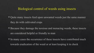 Biological control of weeds using insects- Arshima Shaji V | PPTX