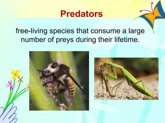 biological control of pests parasitoids.ppt