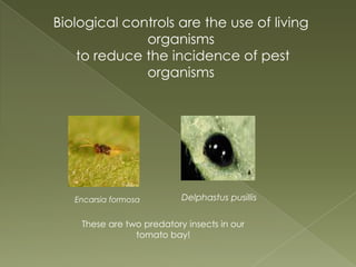 Biological Controls