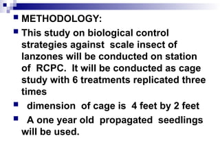 Biological Control Strategies in lanzones.ppt