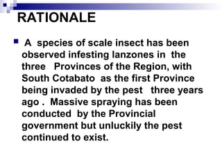 Biological Control Strategies in lanzones.ppt