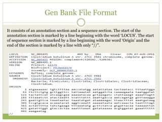 Gen File Format Biological database....pptx