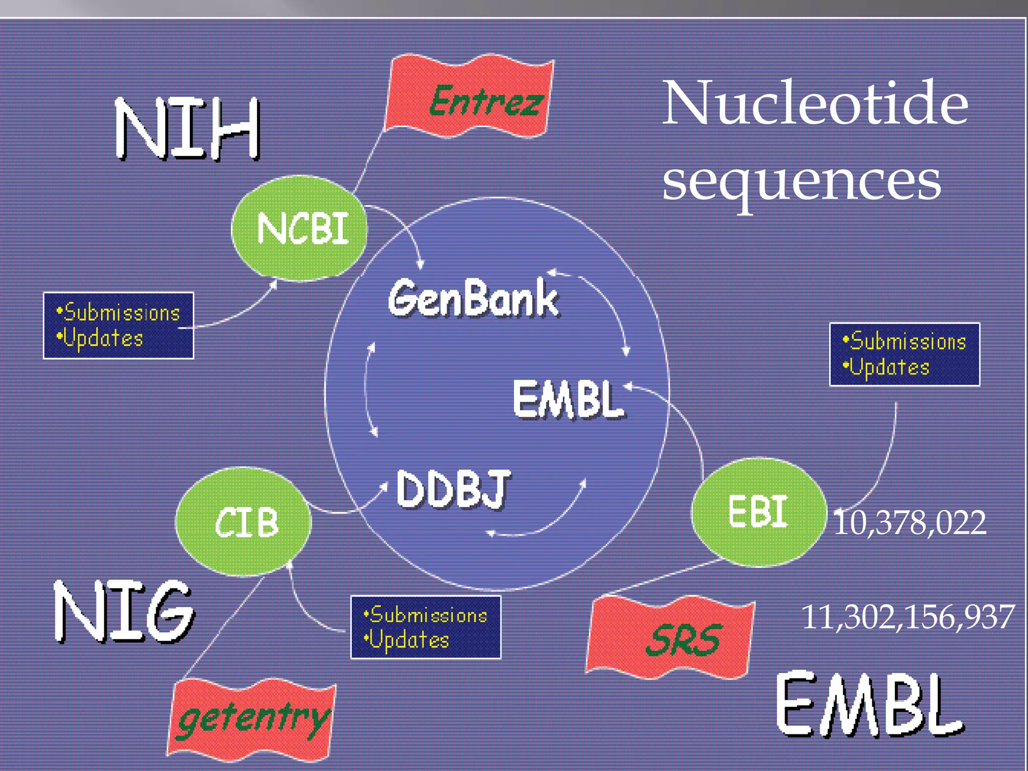 Nucleotide
sequences
10,378,022
11,302,156,937
 