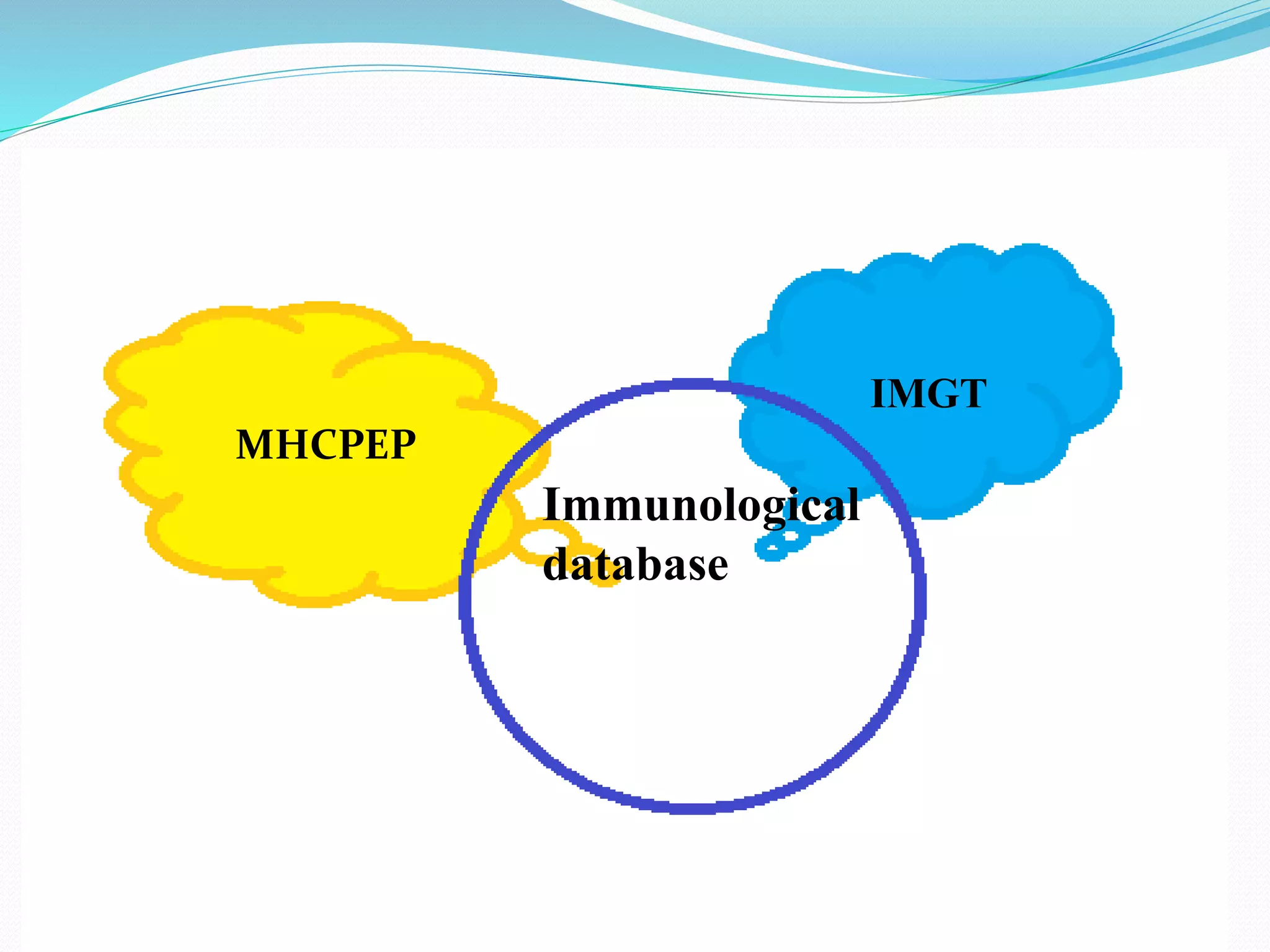 IMGT
MHCPEP
Immunological
database
 