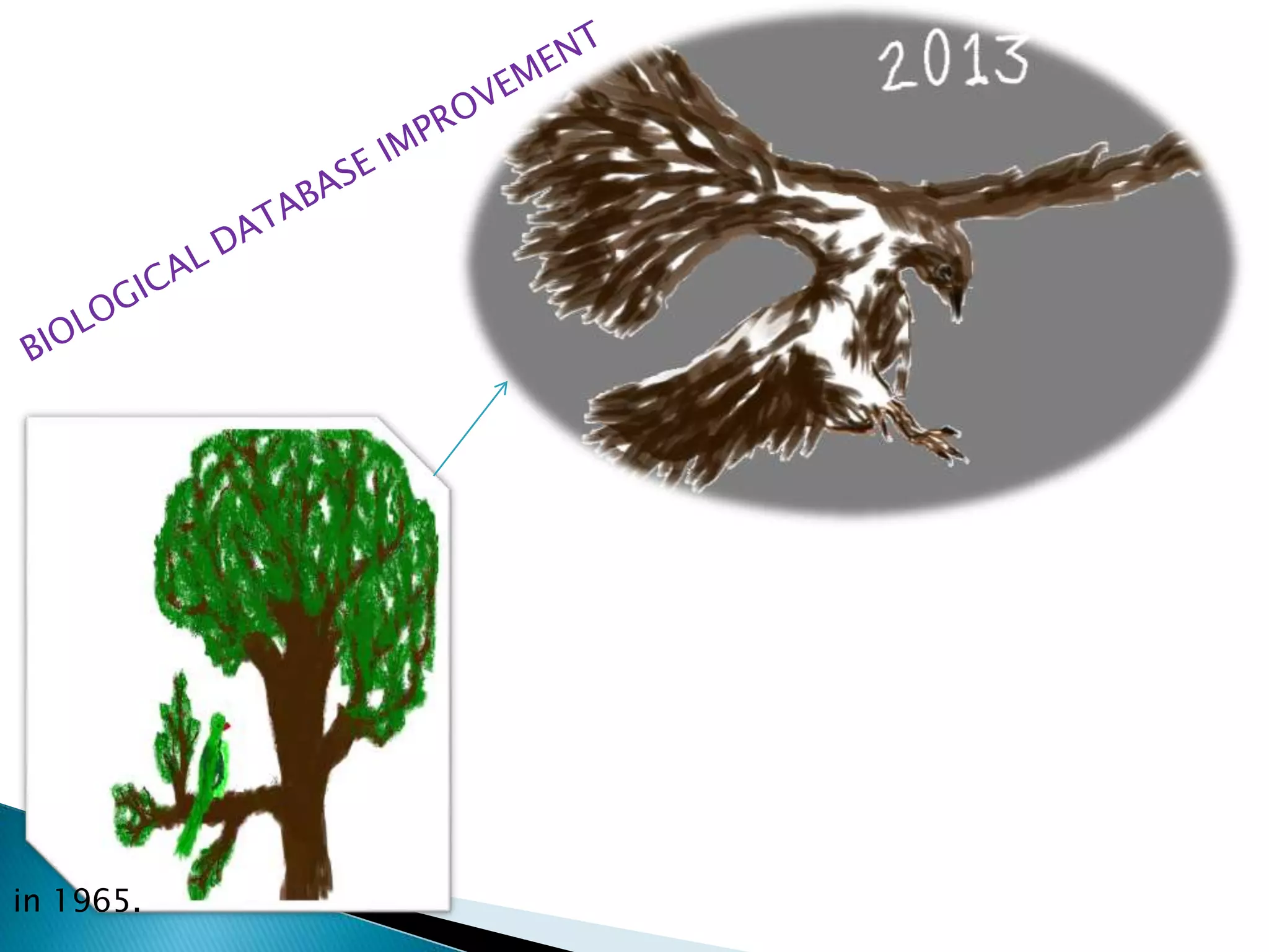 in 1965.
 