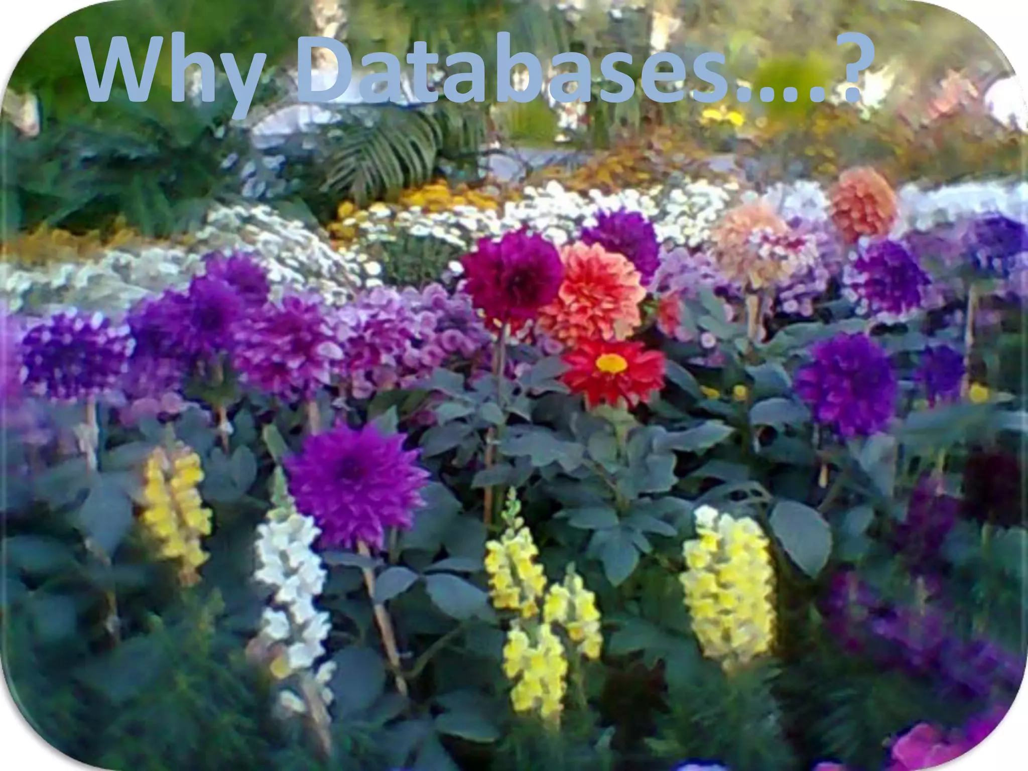 6
Why Databases….?
 