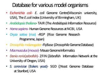 Databaseforvariousmodelorganisms
• Escherichia coli- E. coli Genome Centre(Wisconsin university,
USA), TheE.coli index(UniversityofBirmingham, UK)
• Arabidopsisthaliana-TAIR (TheArabidopsisInformationResource)
• Homosapiens-HumanGenomeResourcesatNCBI, USA
• Oryza sativa (rice) -RGP (Rice Genome Research
Programme,Japan)
• Drosaphilamelanogaster-FlyBase (DrosophilaGenomeDatabase)
• Musmusculus(mouce)-MouceGenomeInformatics
• Daniorerio(zebrafish)- ZFIN (Zebrafish InformationNetwork atthe
UniversityofOregon,USA)
• S. cerevisiae (Bakers yeast)- SGD ()Yeast Genome Database
at Stanford,USA
 