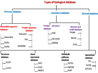 Typesofbiologicaldatabase
Nucleotidesequence
database
Primarydatabase
Deriveddatabase
secondarydatabase
Specialised
database
Structure
database
Protein structure
database
Genebank
DDBJ
EMBL
Proteinsequence
database
Swis-port
PIR
GenePept
PDB
EBI-MSD
MMDB
Domainand
motifdatabase
Prosite
Blocks
COG
Gene
expression
database
Metabolic
pathway
database
SCOP
CATH
GEO
GXD
MGED
KEGG
EMP
PathDB
TGI
GSOB
GPCRD
 