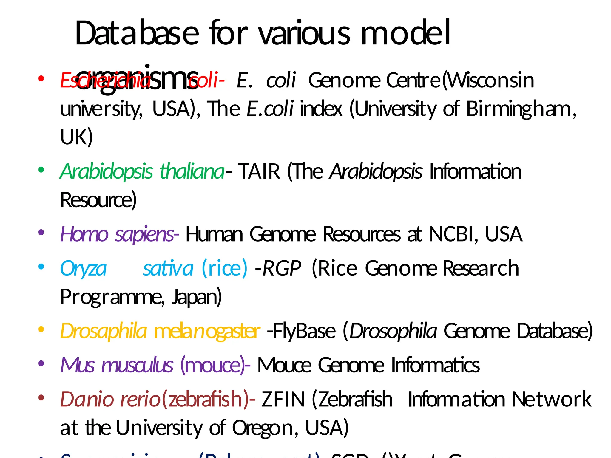 Database for various model
organisms
• Escherichia coli- E. coli Genome Centre(Wisconsin
university, USA), The E.coli index (University of Birmingham,
UK)
• Arabidopsis thaliana- TAIR (The Arabidopsis Information
Resource)
• Homo sapiens- Human Genome Resources at NCBI, USA
• Oryza sativa (rice) -RGP (Rice Genome Research
Programme, Japan)
• Drosaphila melanogaster -FlyBase (Drosophila Genome Database)
• Mus musculus (mouce)- Mouce Genome Informatics
• Danio rerio(zebrafish)- ZFIN (Zebrafish Information Network
at theUniversity of Oregon, USA)
 