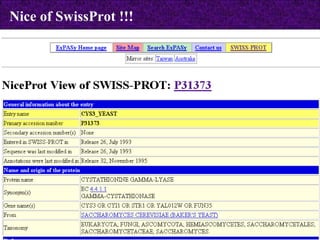 Nice of SwissProt !!!   