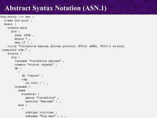 Abstract Syntax Notation (ASN.1) 