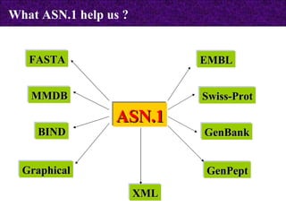 ASN.1 FASTA Graphical GenPept GenBank MMDB Swiss-Prot EMBL XML BIND What ASN.1 help us ? 