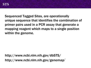 Sequenced Tagged Sites, are operationally  unique sequence that identifies the combination of primer pairs used in a PCR assay that generate a mapping reagent which maps to a single position within the genome. http://www.ncbi.nlm.nih.gov/dbSTS/ http://www.ncbi.nlm.nih.gov/genemap / STS 