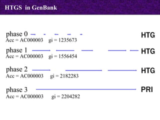 HTGS  in GenBank phase 1 HTG Acc = AC000003  gi = 1556454 phase 2 HTG Acc = AC000003  gi = 2182283 phase 3 PRI Acc = AC000003  gi = 2204282 phase 0 HTG Acc = AC000003  gi = 1235673 
