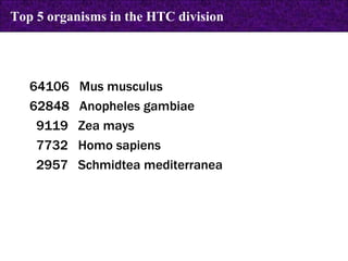 64106  Mus musculus 62848  Anopheles gambiae 9119  Zea mays 7732  Homo sapiens 2957  Schmidtea mediterranea Top 5 organisms in the HTC division 