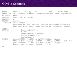 LOCUS  AH007743  7832 bp  DNA  CON  26-MAY-1999 DEFINITION  Gallus gallus ornithine transcarbamylase (OTC) gene, complete cds. ACCESSION  AH007743 VERSION  AH007743.1  GI:4927367 KEYWORDS  . SOURCE  chicken. ORGANISM  Gallus gallus Eukaryota; Metazoa; Chordata; Craniata; Vertebrata; Archosauria; Aves; Neognathae; Galliformes; Phasianidae; Phasianinae; Gallus. [....] FEATURES  Location/Qualifiers source  1..7832 /organism="Gallus gallus" /db_xref="taxon:9031" /chromosome="1" CONTIG  join(AF065630.1:1..1903,gap(),AF065631.1:1..435,gap(), AF065632.1:1..509,gap(),AF065633.1:1..722,gap(),AF065634.1:1..707, gap(),AF065635.1:1..836,gap(),AF065636.1:1..1614,gap(), AF065637.1:1..605,gap(),AF065638.1:1..501) // CON in GenBank 