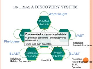 ENTREZ: A DISCOVERY SYSTEM
Gene
Taxonomy
PubMed
abstracts
Nucleotide
sequences
Protein
sequences
3-D
Structure
3 -D
Structure
Word weight
VAST
BLASTBLAST
Phylogeny
Hard Link
Neighbors
Related Sequences
Neighbors
Related Sequences
BLink
Domains
Neighbors
Related Structures
Pre-computed and pre-compiled data.
•A potential “gold mine” of undiscovered
relationships.
•Used less than expected.
Pre-computed and pre-compiled data.
•A potential “gold mine” of undiscovered
relationships.
•Used less than expected.
 