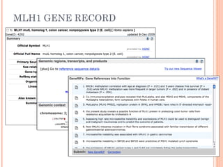 MLH1 GENE RECORD
 