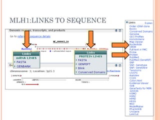 MLH1:LINKS TO SEQUENCE
 