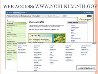 WEB ACCESS: WWW.NCBI.NLM.NIH.GOV
New Homepage
Common footerCommon footer
New pages!New pages!
 