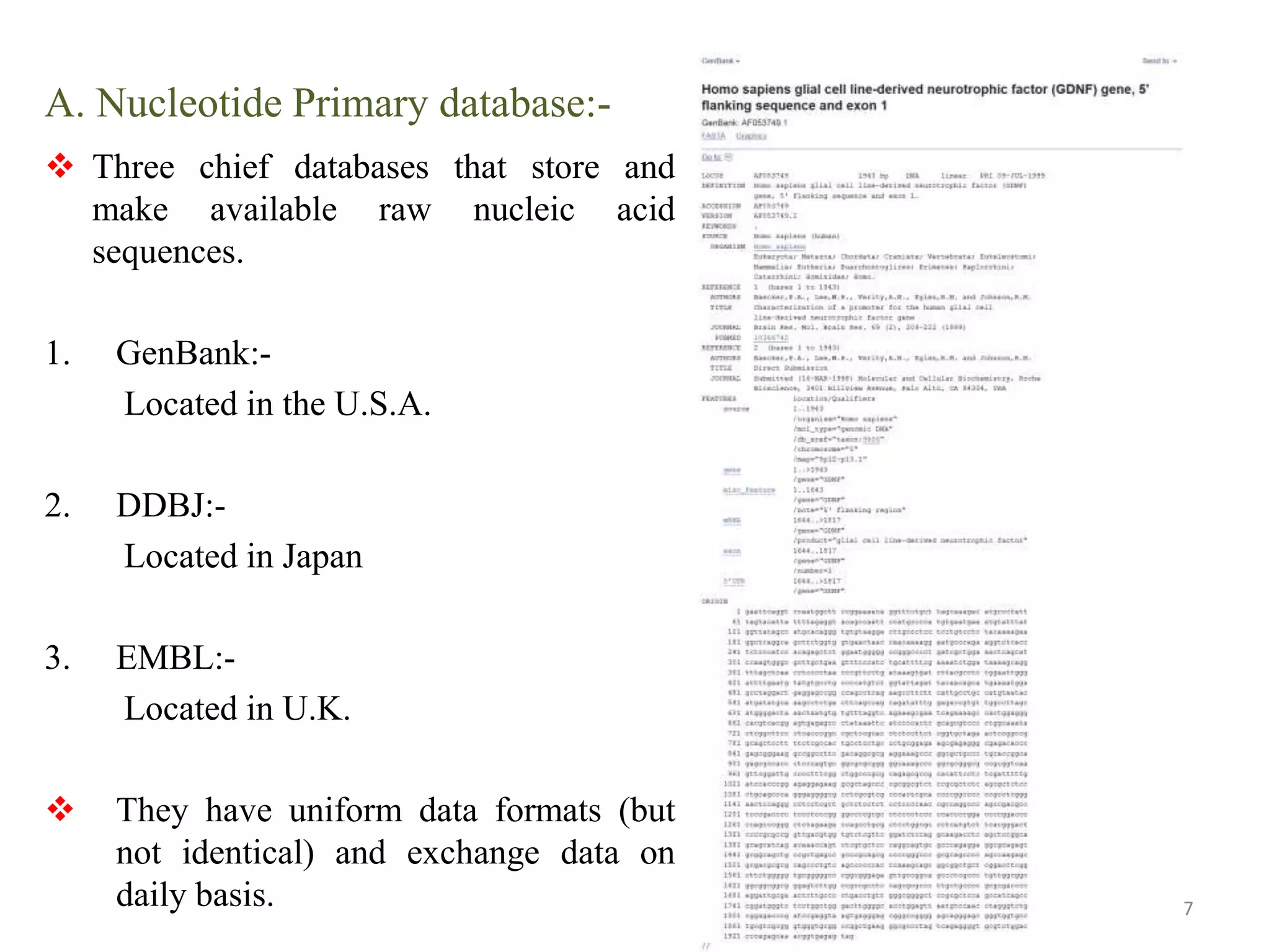 A. Nucleotide Primary database:-
 Three chief databases that store and
make available raw nucleic acid
sequences.
1. GenBank:-
Located in the U.S.A.
2. DDBJ:-
Located in Japan
3. EMBL:-
Located in U.K.
 They have uniform data formats (but
not identical) and exchange data on
daily basis. 7
 