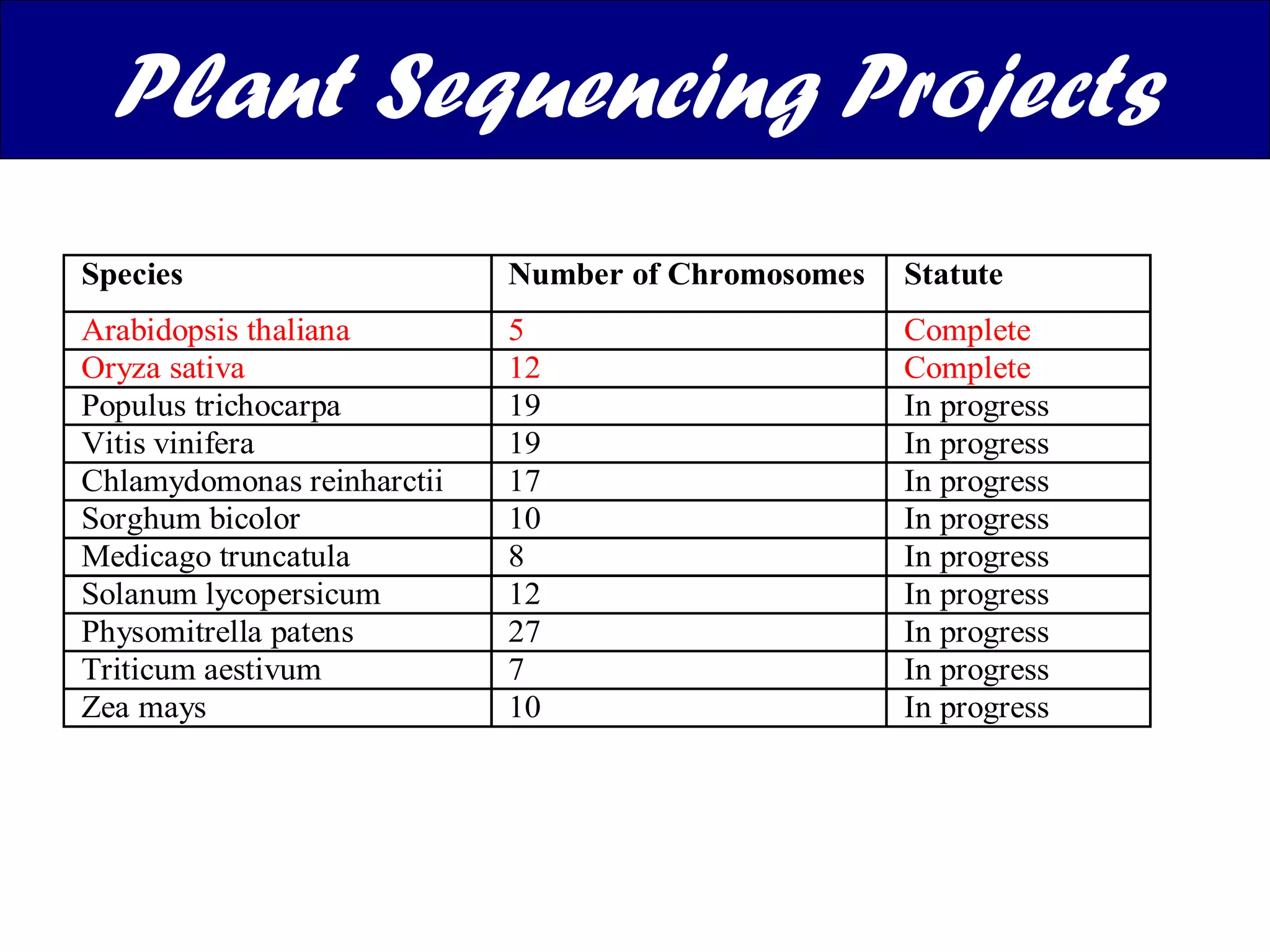 Plant Sequencing Projects 