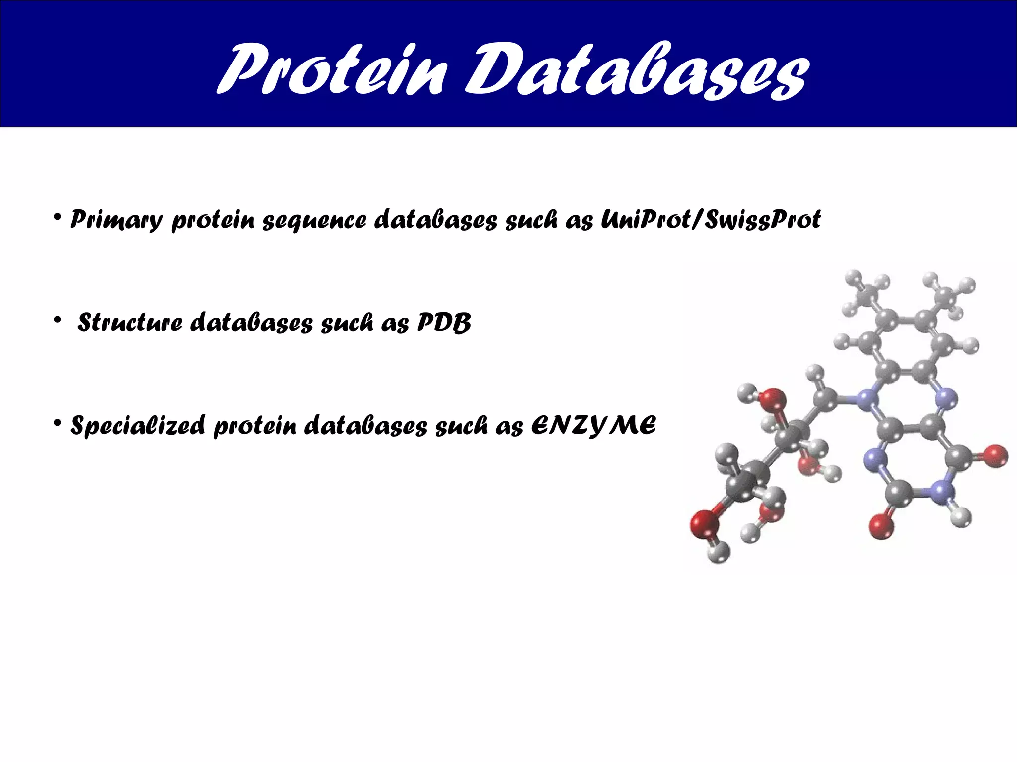 Protein Databases Primary protein sequence databases such as UniProt/SwissProt Structure databases such as PDB  Specialized protein databases such as ENZYME 