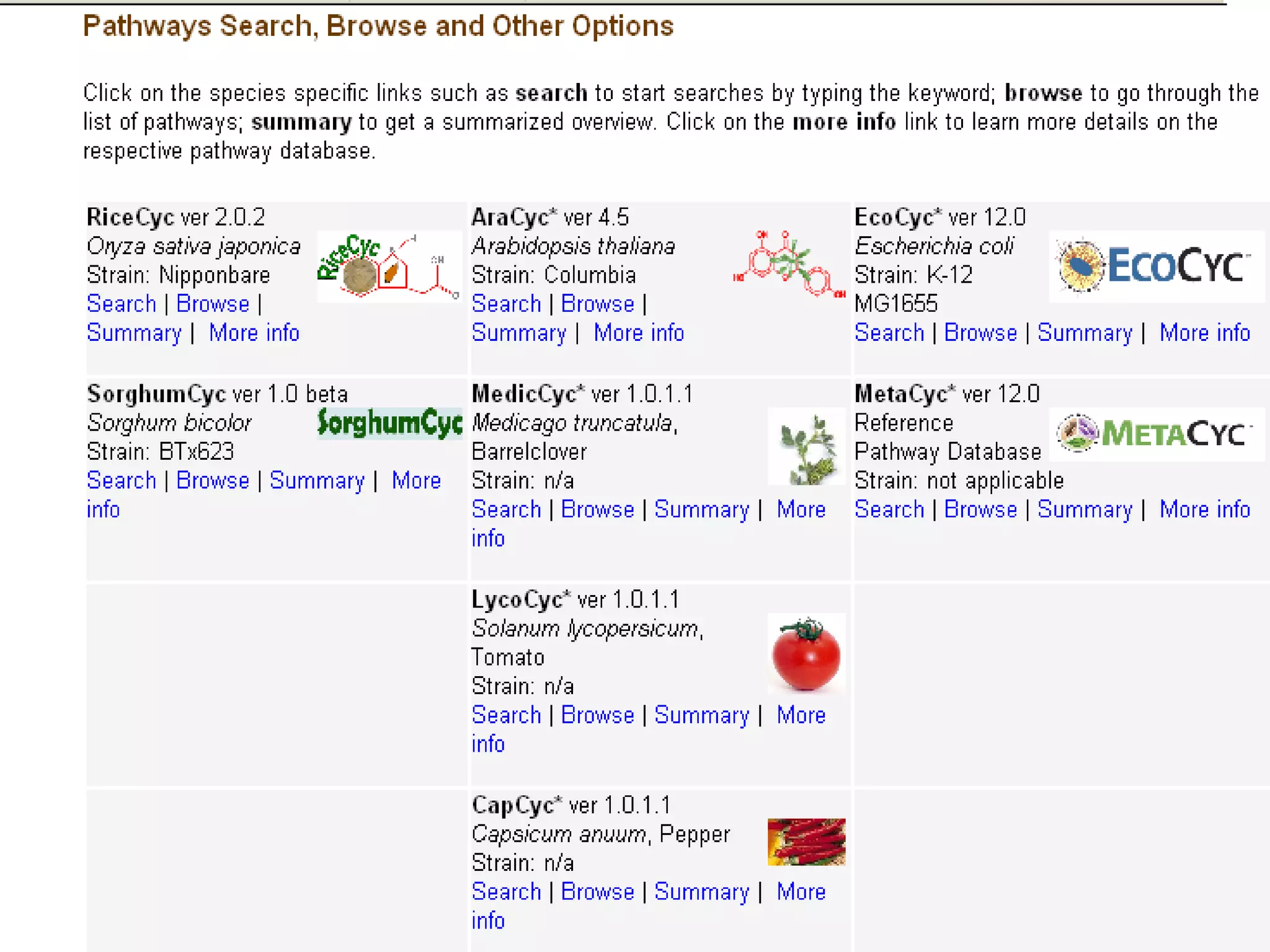 Metabolic Databases KEGG Pathway Database Ecocyc AraCyc, RiceCyc, SorghumCyc, LycoCyc, CapCyc, etc. 