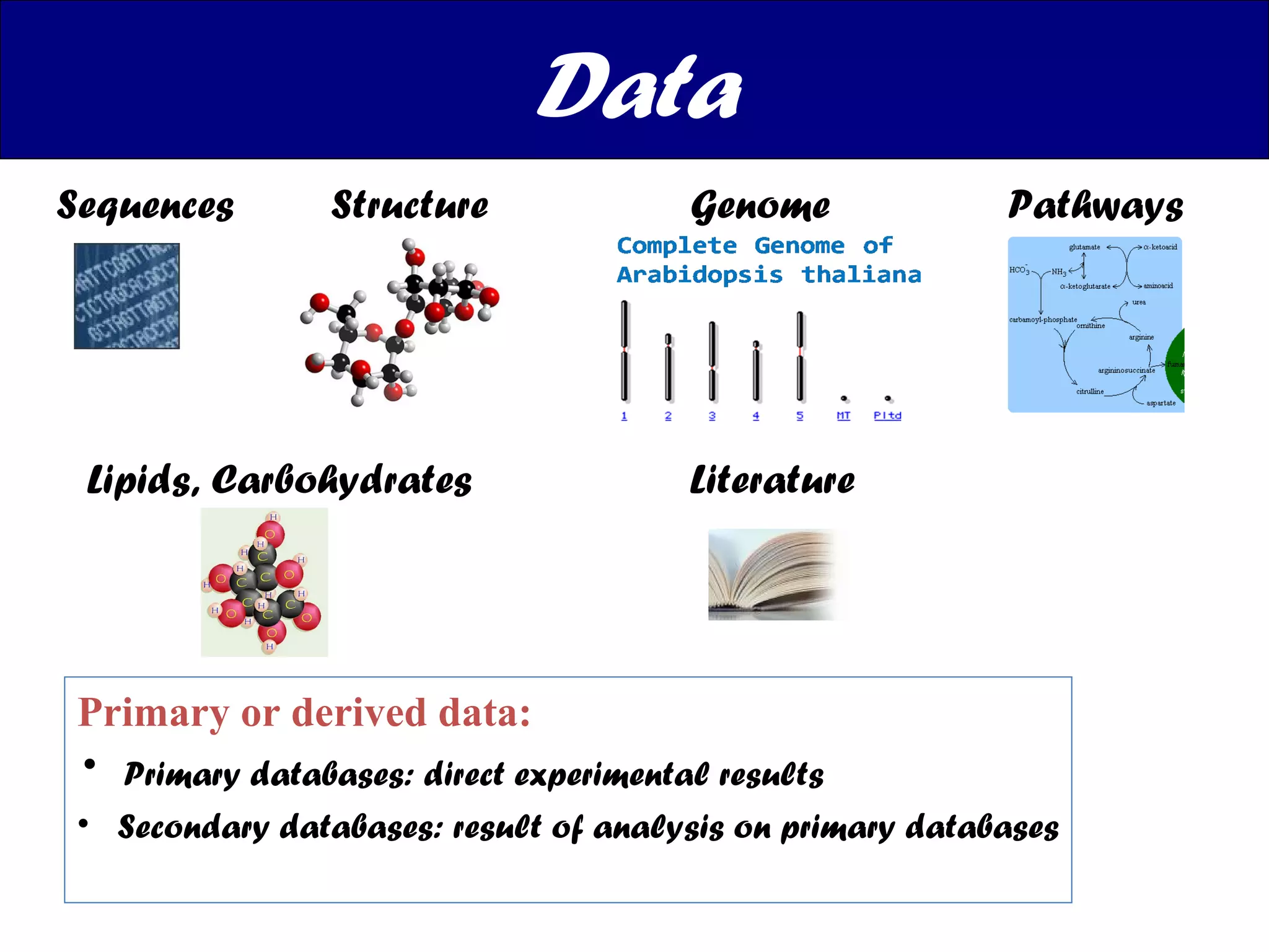 Data Primary or derived data: Primary databases: direct experimental results Secondary databases: result of analysis on primary databases Sequences Structure Genome Pathways Lipids, Carbohydrates Literature 