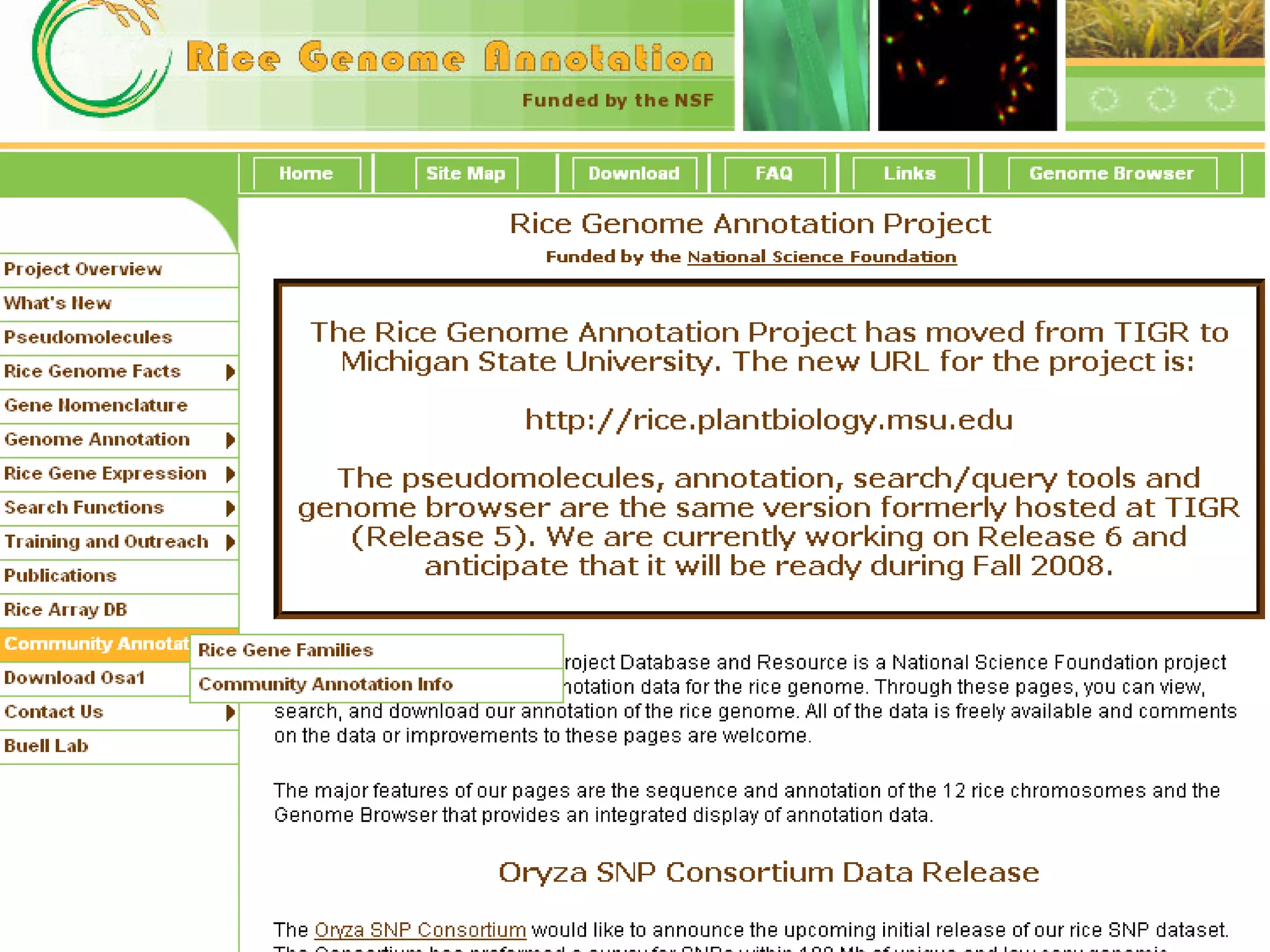 Crop Information Systems Taxonomic Databases Nucleotide Databases  Genomic Databases  Protein Databases  Metabolic Pathway Databases  Bibliographic Databases   Data Levels Primary Secondary Primary Databases Secondary databases Database  Types General plant/animal  genera specific Organism specific Public Commercial Subject wise Taxonomy wise Ownership wise 