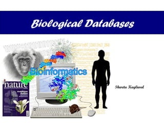 Biological Databases Shweta Kagliwal 
