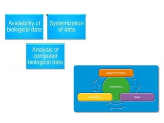 Biological data bioinformatics | PPT