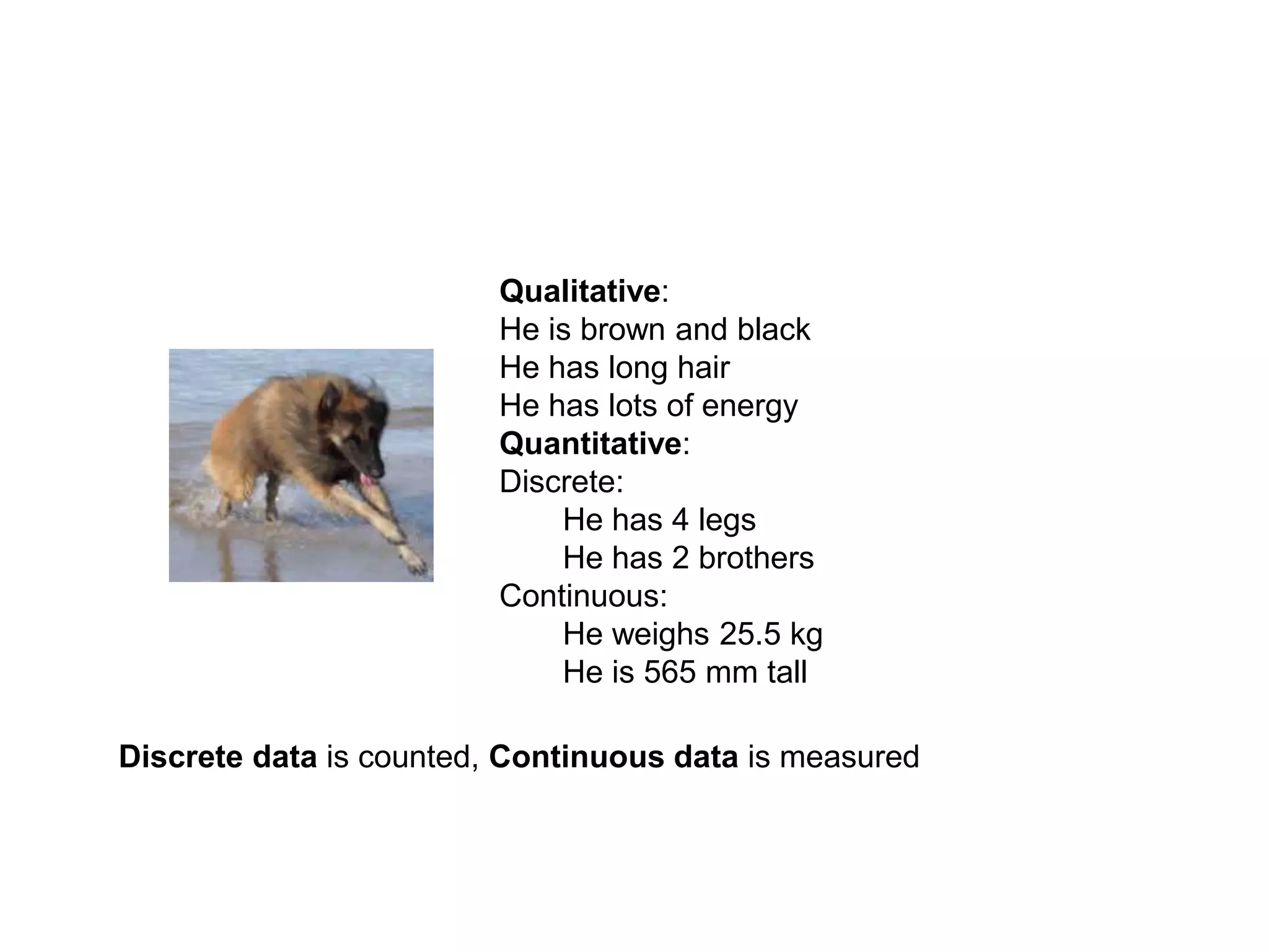 Qualitative:
He is brown and black
He has long hair
He has lots of energy
Quantitative:
Discrete:
He has 4 legs
He has 2 brothers
Continuous:
He weighs 25.5 kg
He is 565 mm tall
Discrete data is counted, Continuous data is measured
 