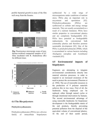 Biological degradation of synthetic polymer | PDF