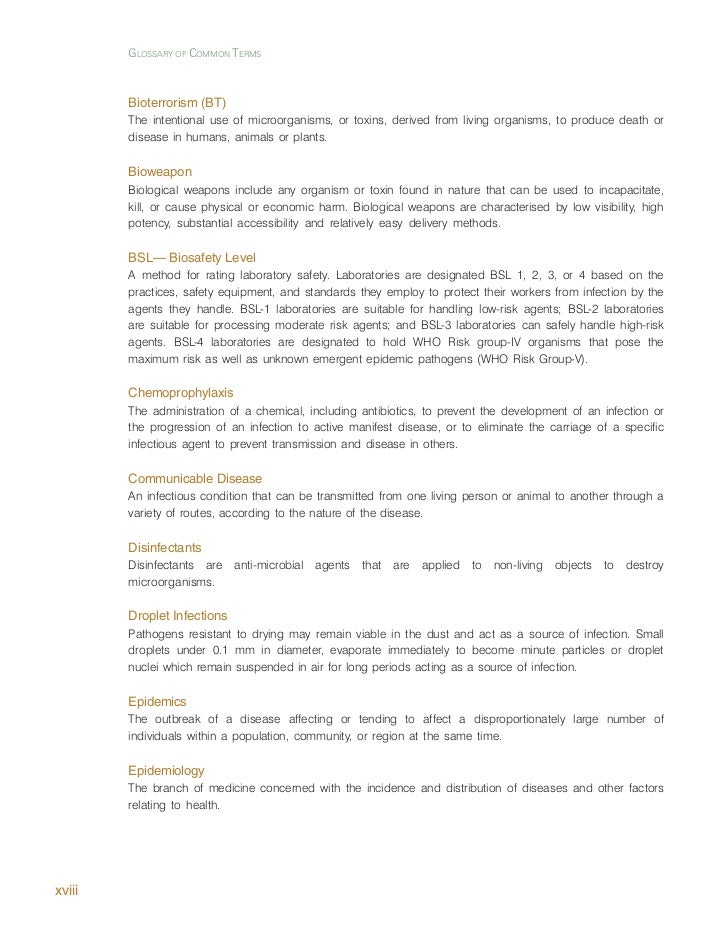 programmer resume objective