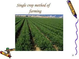 Single crop method of farming 