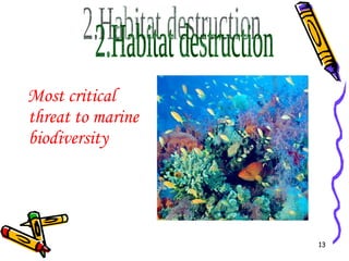 Most critical threat to marine biodiversity 2.Habitat destruction 