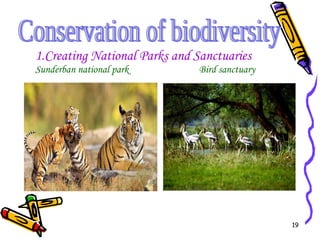 1.Creating National Parks and Sanctuaries Sunderban national park   Bird sanctuary Conservation of biodiversity 