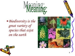 Biodiversity is the great variety of species that exist on the earth Meaning: 