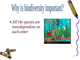 All the species are interdependent on each other Why is biodiversity important? 