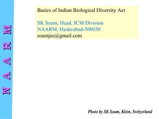 NAARMNAARM
Photo by SK Soam, Klein, Switzerland
Basics of Indian Biological Diversity Act
SK Soam, Head, ICM Division
NAARM, Hyderabad-500030
soamjee@gmail.com
 