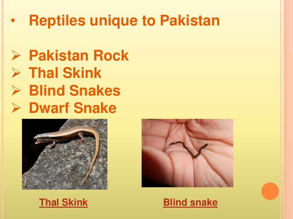 Biological diversity of pakistan