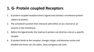 1. G- Protein coupled Receptors
1. G-protein-coupled receptors bind a ligand and activate a membrane protein
called a G-protein.
2. The activated G-protein then interacts with either an ion channel or an
enzyme in the membrane.
3. Before the ligand binds, the inactive G-protein can bind to a site on a specific
recepto
4. G-protein binds to the receptor, changes shape, and becomes active and
divided into three sub uits alpha , beta and gama sub units.
 